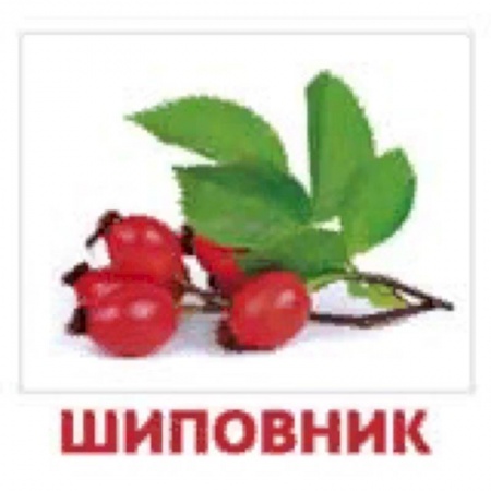 Развитие общих способностей, книга Комплект карточек 'Ягоды' заказать