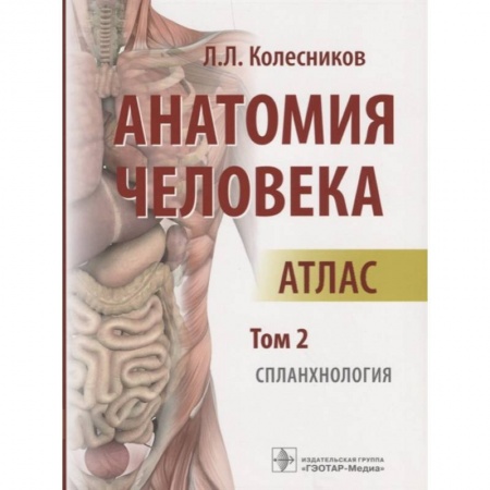 Анатомия и физиология человека, книга Анатомия человека. Атлас. Том 2. Спланхнология заказать