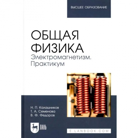 Физика. Астрономия, книга Общая физика. Электромагнетизм. Практикум: Учебное пособие для вузов заказать