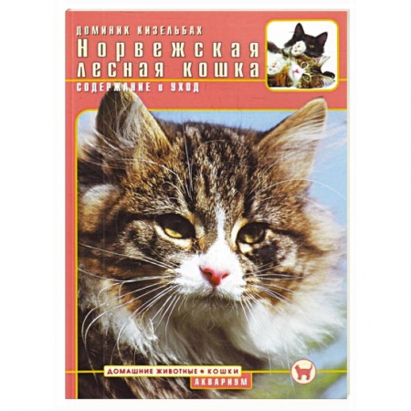 Книги, книга Норвежская лесная кошка. Содержание и уход заказать