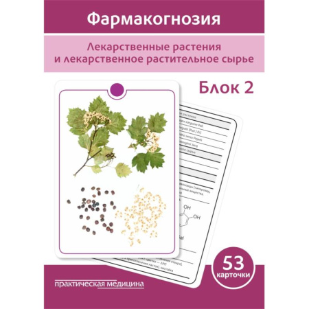 Медицинские энциклопедии и справочники, книга Фармакогнозия. Блок 2 (53 карточки). Лекарственные растения и лекарственное растительное сырье. Учебное пособие202 заказать