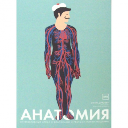 Познавательная литература, книга Анатомия заказать