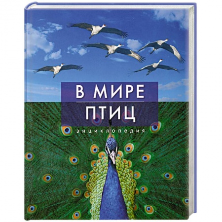 Книги, книга В мире птиц заказать