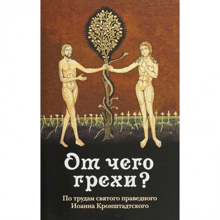 Православие в целом, книга От чего грехи? По трудам святого праведного Иоанна Кронштадского заказать