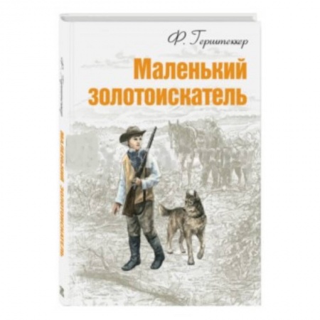 Книги, книга Маленький золотоискатель заказать