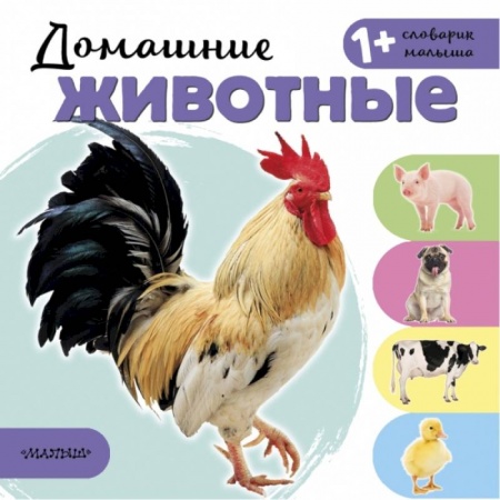 Развитие общих способностей, книга Домашние животные заказать