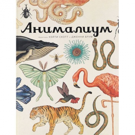 Книги, книга Анималиум заказать