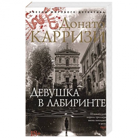 Зарубежный детектив, книга Девушка в лабиринте заказать