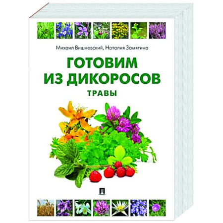 Общие вопросы по кулинарии, книга Готовим из дикоросов. Травы заказать
