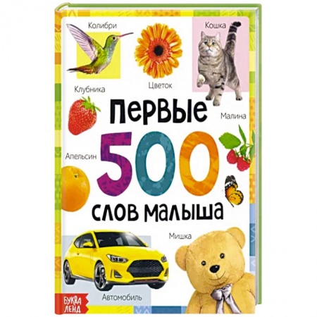 Познавательная литература, книга Первые 500 слов малыша заказать