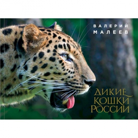 Зоология, книга Дикие кошки России: иллюстрированный авторский фотоальбом заказать
