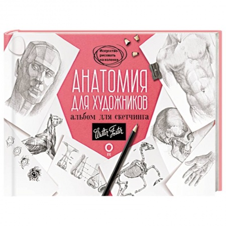 Живопись, книга Анатомия для художников. Альбом для скетчинга заказать