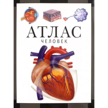 Анатомия и физиология человека, книга Человек. Атлас заказать
