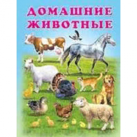 Знакомство с миром, развитие малыша, книга Домашние животные заказать