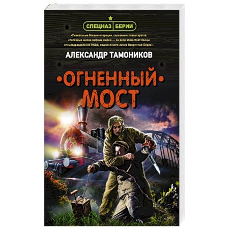 Исторический детектив, книга Огненный мост заказать