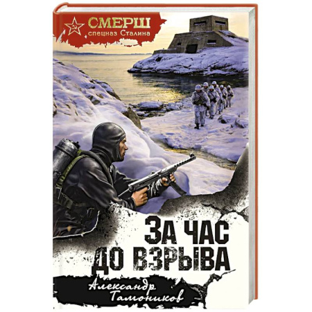 Детективы, триллеры, книга За час до взрыва заказать