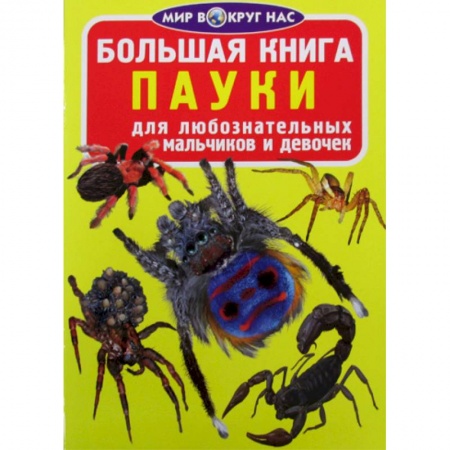 Животный и растительный мир, книга Большая книга. Пауки заказать