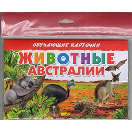 Животный и растительный мир, книга Животные Австралии заказать