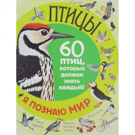 Книги, книга Птицы. 60 птиц, которые должен знать каждый заказать