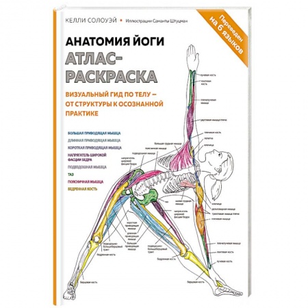 Спорт. Фитнес, книга Анатомия йоги: атлас-раскраска. Визуальный гид по телу — от структуры к осознанной практике заказать