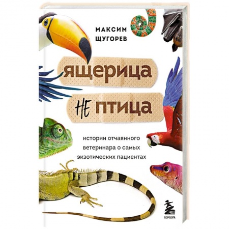 Ветеринария, книга Ящерица не птица. Истории отчаянного ветеринара о самых экзотических пациентах заказать