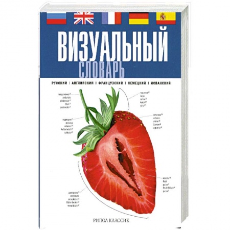 Книги, книга Визуальный словарь заказать