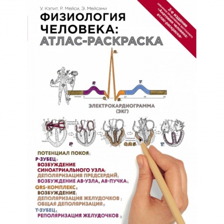 Медицинские энциклопедии и справочники, книга Физиология человека: атлас-раскраска заказать