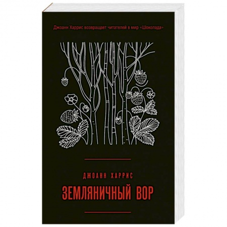 Зарубежная современная проза, книга Земляничный вор заказать