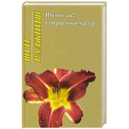 Книги, книга Именно так! Совершенный мастер заказать
