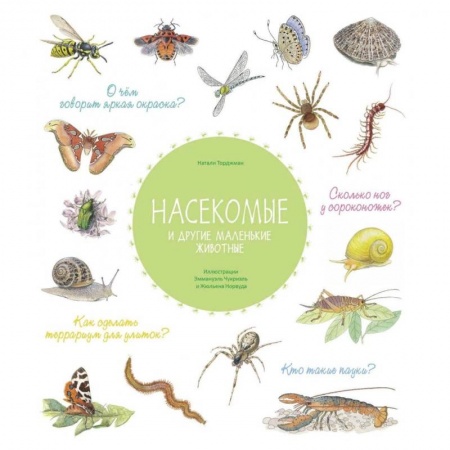 Животный и растительный мир, книга Насекомые и другие маленькие животные заказать