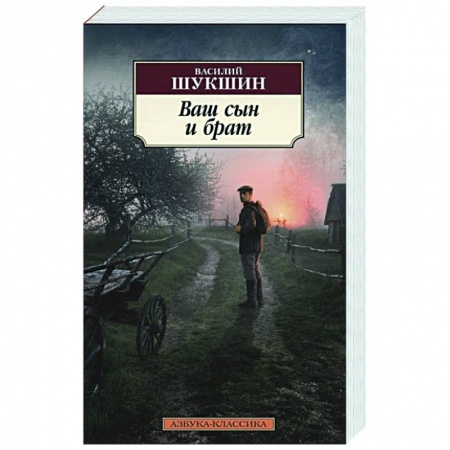Классическая художественная проза, книга Ваш сын и брат заказать