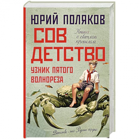 Русская современная проза, книга Совдетство. Узник пятого волнореза заказать
