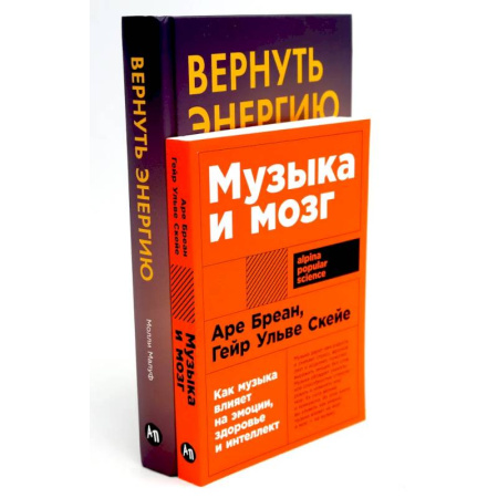 Достижение успеха в жизни, книга Музыка и мозг. Вернуть энергию (комплект из 2-х книг о том как сохранить молодость, здоровье и жизненную силу) заказать