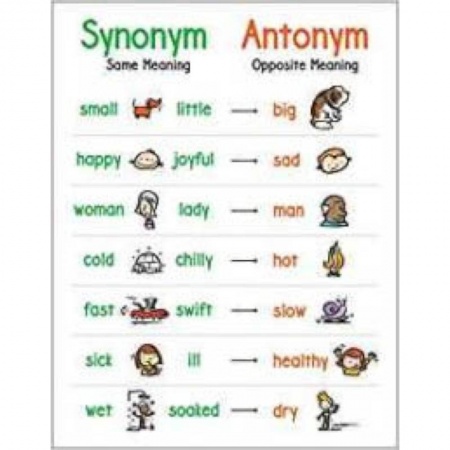 Литература на иностранном языке для детей, книга Anchor Chart: Synonym and Antonym заказать