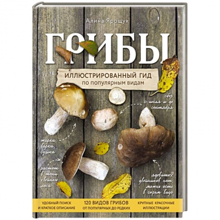 Грибы. Справочники. Определители, книга Грибы. Иллюстрированный гид по популярным видам заказать