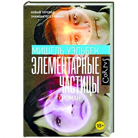 Зарубежная современная проза, книга Элементарные частицы заказать