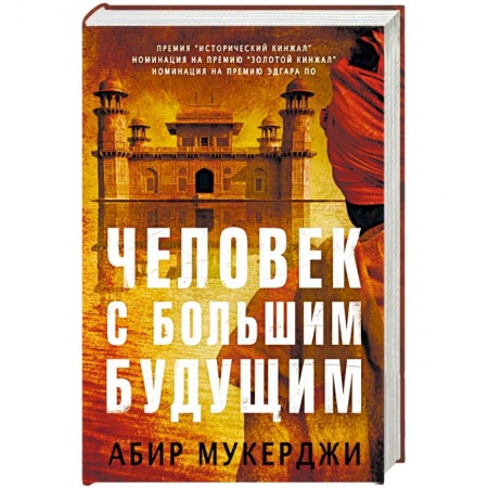 Зарубежный детектив, книга Человек с большим будущим заказать
