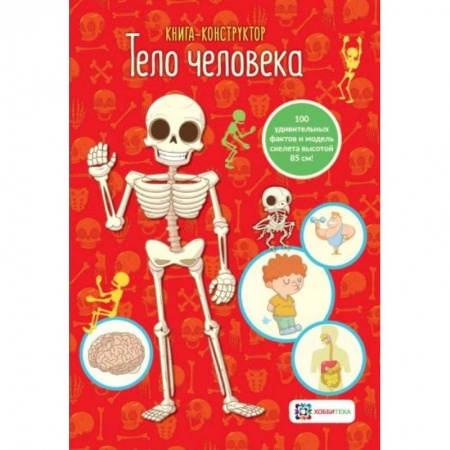 Познавательная литература, книга Тело человека.  Книга - конструктор заказать