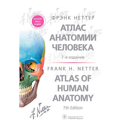 Анатомия и физиология человека, книга Атлас анатомии человека. 7-е изд заказать