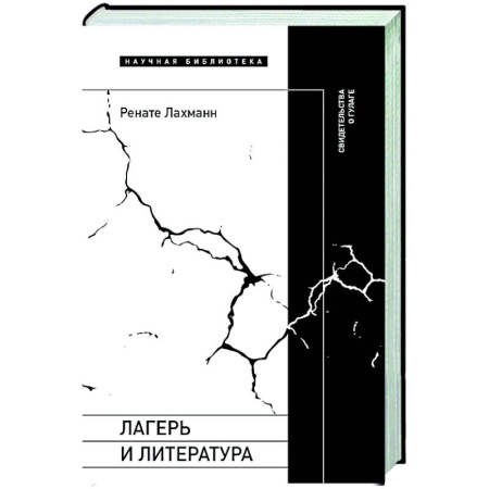 Литературная критика, книга Лагерь и литература: Свидетельства о ГУЛАГе заказать