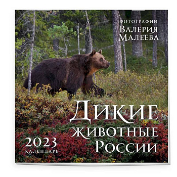 Дикие животные России. Авторские фотографии Валерия Малеева. Календарь настенный на 2023 год Дикие животные России. Авторские фотографии Валерия Малеева. Календарь настенный на 2023 год