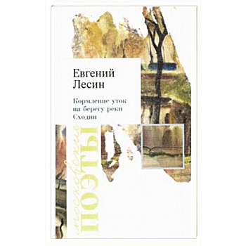 Кормление уток на берегу реки Сходни