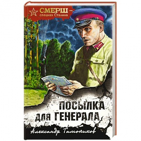 Исторический детектив, книга Посылка для генерала заказать