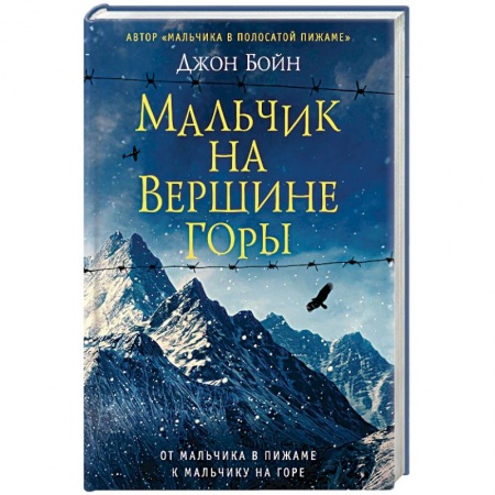 Книги, книга Мальчик на вершине горы заказать