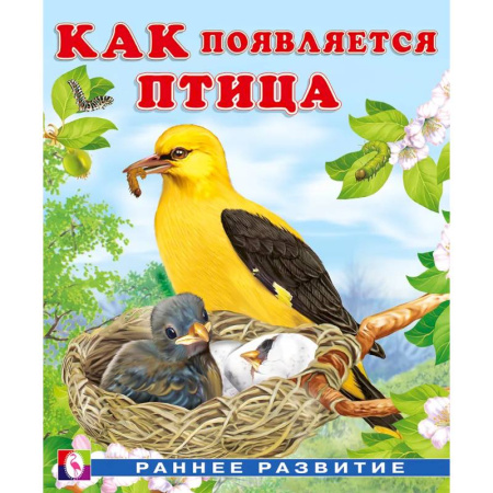 Животный и растительный мир, книга Как появляется птица заказать