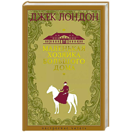 Зарубежная классика, книга Маленькая хозяйка Большого дома заказать