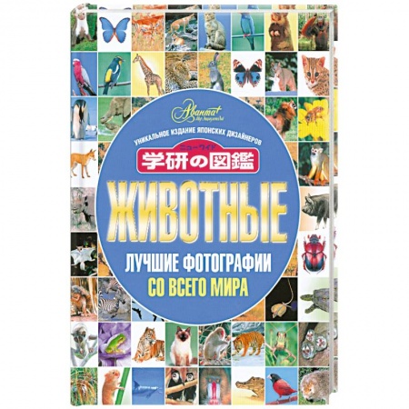 Книги, книга Животные. Лучшие фотографии со всего мира заказать