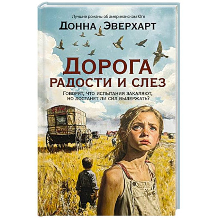 Зарубежная классика, книга Дорога радости и слез заказать