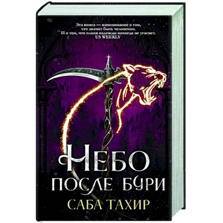 Зарубежное фэнтези, книга Небо после бури заказать