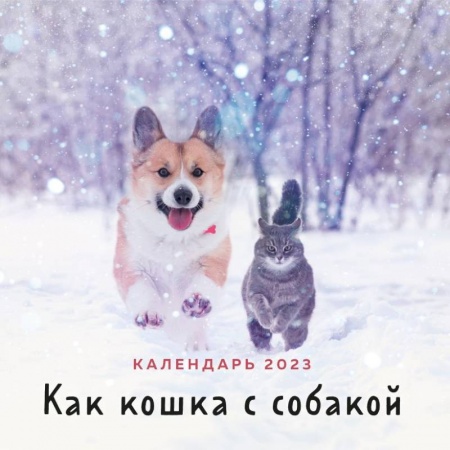 Как кошка с собакой. Календарь настенный на 2023 год
